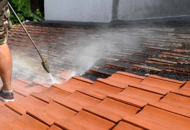 Best Roof Pressure Washing  in Richmond, UT